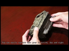 Dual lens 4G Trail Camera 1080P HD Hunting Wildlife Trail Outdoor