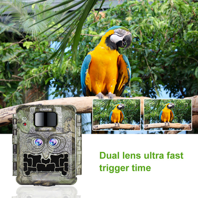 Câmera dupla 13MP CMOS da fuga dos animais selvagens da lente 1080P de DC12V nenhuma came do fulgor