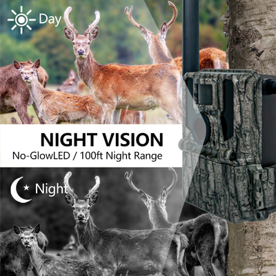 Keepguard 4G Cameras de trilha florestal celular de vida selvagem com controle remoto APP 36MP 2K / 30fps Wild Game