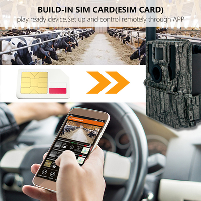 Nova High-End 2K/30fps Dual Antenna 4G LTE Foto e Vídeo Long Range, Long Standby Remote Control Tracking Camera