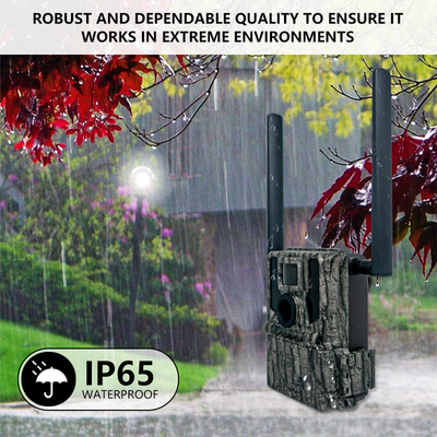 Nova High-End 2K/30fps Dual Antenna 4G LTE Foto e Vídeo Long Range, Long Standby Remote Control Tracking Camera