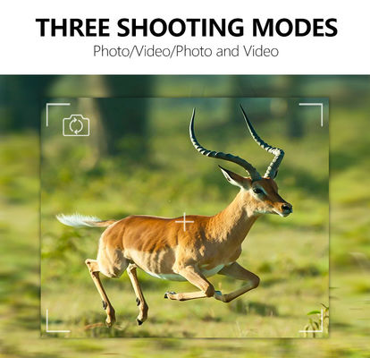 App Remote Control Câmera GPS Trail