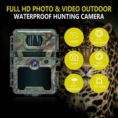 KW571 Fábrica OEM ODM Mini Wildlife Scouting Timelapse Trail Camera IP67 Sensor CMOS sem brilho e memória SD Visão noturna