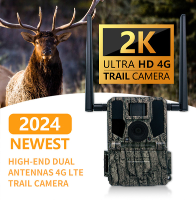 4G Wireless Trail Camera Hidden Camouflage KW897 com Dual Antennas Night Vision 36MP 2K Video para caça de veados
