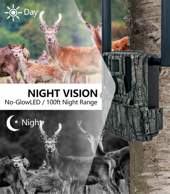 4G Wireless Trail Camera Hidden Camouflage KW897 com Dual Antennas Night Vision 36MP 2K Video para caça de veados