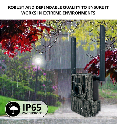 4G Wireless Trail Camera Hidden Camouflage KW897 com Dual Antennas Night Vision 36MP 2K Video para caça de veados