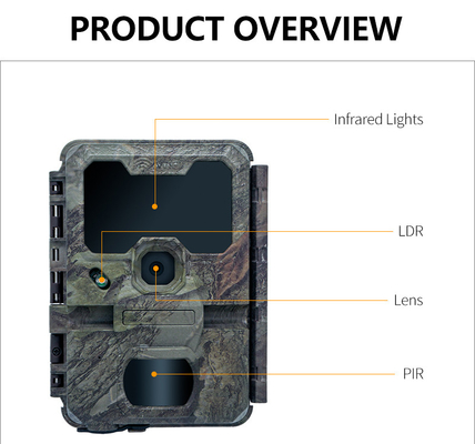 KW866 WIFI Caça trilha de vida selvagem Câmera à prova d'água IP67 OEM/ODM 512GB Armazenamento Cartão de memória SD 32MP 4K fácil de usar