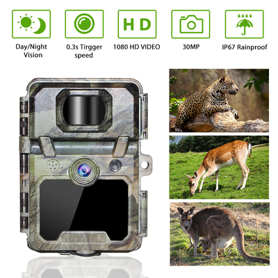 KW571 Fábrica OEM ODM Mini Wildlife Scouting Timelapse Trail Camera IP67 Sensor CMOS sem brilho e memória SD Visão noturna