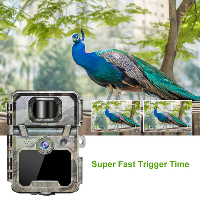 KW571 Fábrica OEM ODM Mini Wildlife Scouting Timelapse Trail Camera IP67 Sensor CMOS sem brilho e memória SD Visão noturna