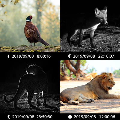 KW696 câmara de caça ao ar livre com dupla lente 30MP sem brilho câmara de trilha 1080p visão noturna 512G para
