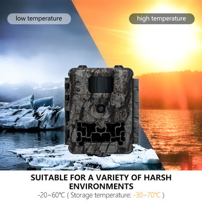 Câmera de Caça Profissional com Corte IR Automático e Suporte para Lente Micro de 450mm para Imagens Claras e Detalhadas da Vida Selvagem