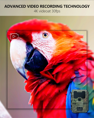 WIFI trail Camera KW866 impermeável IP67 OEM/ODM até 512GB Cartão de memória SD 32MP 4K câmera de vida selvagem