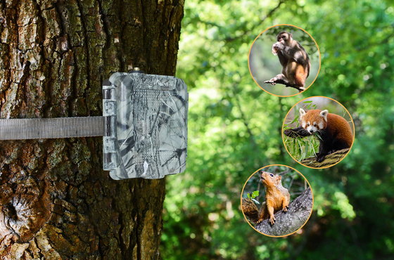 KG45 TRAMP ALARME TRAIL CAMERA para os amantes da caça chamada para enviar SMS em resposta rápida ao alarme