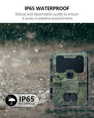 Câmera de caça WIFI KW866 impermeável IP67 OEM/ODM até 512GB Cartão de memória SD 32MP câmera de vida selvagem 4K