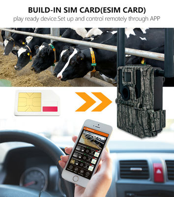 Câmeras de caça e trilha Painel solar 4G Câmera sem fio KW897 com duas antenas 100ft Night Range 36MP 2K vídeo a 30fps