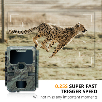 Câmera de caça KW788 impermeável IP65 vídeo 4K com 30fps 32MP 0.25s velocidade de gatilho até 512GB de armazenamento para pesquisa de vida selvagem