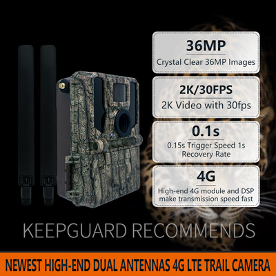 4G sem fio 2024 A mais recente câmera KW897 com duas antenas de visão noturna 36MP vídeo 2K para buck shot