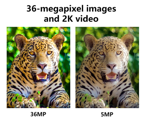 4G sem fio 2024 A mais recente câmera KW897 com duas antenas de visão noturna 36MP vídeo 2K para buck shot