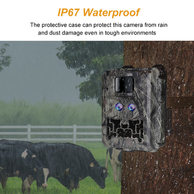 Câmera oculta com lente dupla KW591 impermeável IP67 30MP 1080P 0.4s Velocidade de disparo visão noturna de até 512GB para pesquisa de vida selvagem