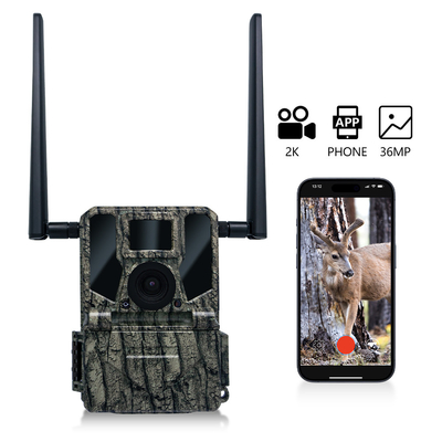 Câmera de caça sem fio celular 4G KW897 embutida em cartão SIM 36MP captura vídeo 2K com 30fps com antenas duplas para a vida selvagem