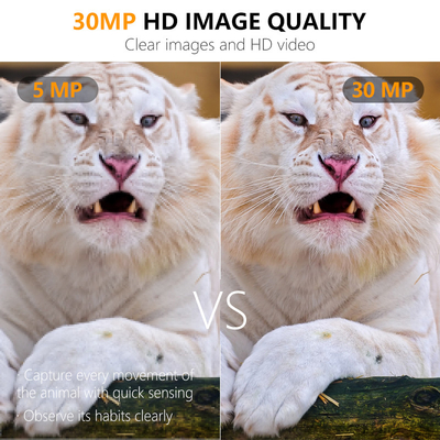 Câmera de rastreamento de vida selvagem sem brilho Imagem de 30MP 1080P Vídeo à prova d'água IP67 até 512GB Armazenamento Preço competitivo Câmera de caça
