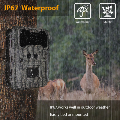 Câmera de caça de lentes duplas KW696 OEM/ODM 0.4s velocidade de resposta 1080P/30MP à prova d'água IP67 100ft alcance noturno para caça de animais selvagens