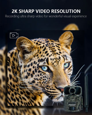 Câmera de Trilha 4G à Prova d'Água IP65