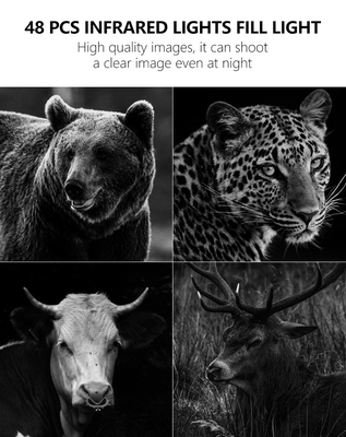 Monitor Wildlife 4G Wireless Trail Camera APP Remote Remote preço baixo 18650 bateria longo tempo de funcionamento
