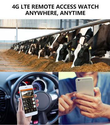 Experimente Desempenho Incomparável com a Câmera de Trilha 4G: A Solução Perfeita para Monitoramento da Vida Selvagem