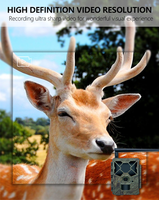 Game&trail Camera 4G KW886 com Antenna Câmera de caça econômica 24MP 1080P Visão noturna 0.1s Tempo de resposta Câmera de jogo