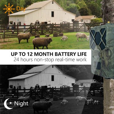 Experimente Desempenho Incomparável com a Câmera de Trilha 4G: A Solução Perfeita para Monitoramento da Vida Selvagem