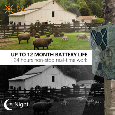 Monitor Wildlife 4G Wireless Trail Camera APP Remote Remote preço baixo 18650 bateria longo tempo de funcionamento