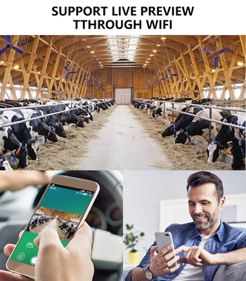 WIFI trail Camera KW866 impermeável IP67 OEM/ODM até 512GB Cartão de memória SD 32MP 4K câmera de vida selvagem