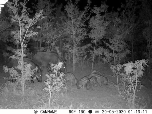 Câmera de jogos KW571 com resistência à água IP67 Sensor CMOS sem brilho 30MP foto 1080P 0,25s velocidade de gatilho visão noturna