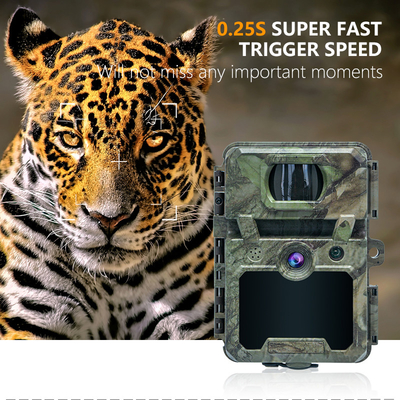 Mini Wireless Wildlife Scouting Camera com 30MP Camuflagem IP66 resistente à água e PIR Função para caça e segurança