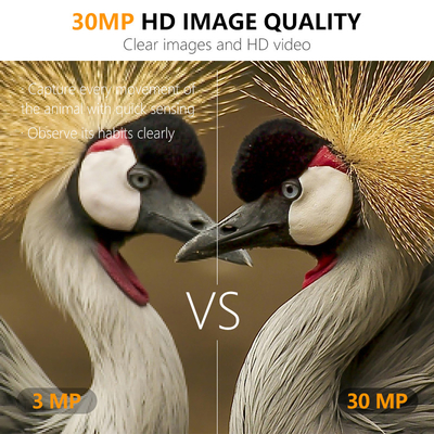 Mini Wireless Wildlife Scouting Camera com 30MP Camuflagem IP66 resistente à água e PIR Função para caça e segurança