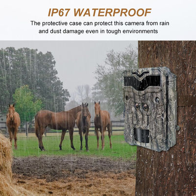 Câmeras de caça em HD Keepguard Dual-Lens 32MP Sem brilho LED Trail Camera 1080P Visão noturna Câmera de jogo de caça para vida selvagem