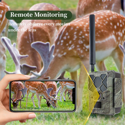 Controle de aplicativo celular 4G LTE gatilho rápido sem brilho longa hora de trabalho de caça câmera de rastreamento acessório