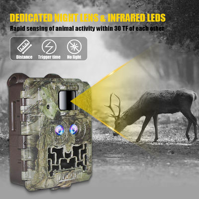 Promoção de vendas 39USD Dual lente/dual sensor Wildlife Game Camera 30MP 1080P No-Glow 940nm Com Sensor Dia e Noite