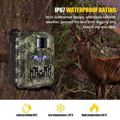 Promoção de vendas 39USD Dual lente/dual sensor Wildlife Game Camera 30MP 1080P No-Glow 940nm Com Sensor Dia e Noite