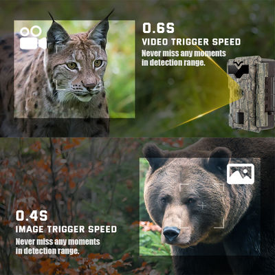 Jogo das câmeras 4K da caça de 32MP Dual Lens HD nenhuma câmera dos animais selvagens do fulgor