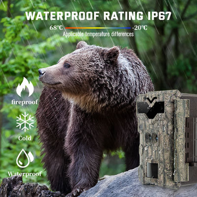 Jogo das câmeras 4K da caça de 32MP Dual Lens HD nenhuma câmera dos animais selvagens do fulgor