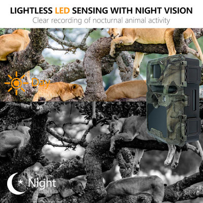os diodos emissores de luz instantâneos da câmera 48 dos animais selvagens de 940nm Digitas não incandescem PIR For Hunting