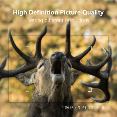 Sensores IP65 impermeável de 30MP Deer Trail Camera Megapixel com cartão de SDHC