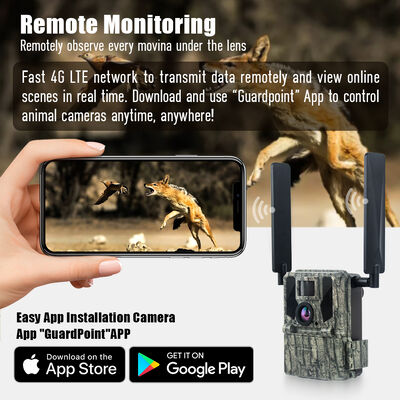 Câmera de trilha 4G com capacidade de visualização remota e caixa robusta projetada para capturar imagens detalhadas em locais remotos