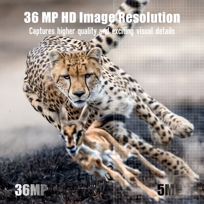 Câmera de trilha 4G com capacidade de visualização remota e caixa robusta projetada para capturar imagens detalhadas em locais remotos