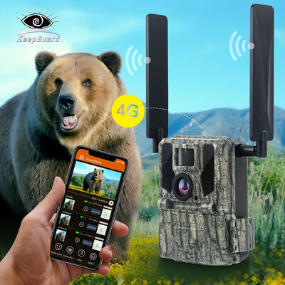 Câmera de trilha 4G com capacidade de visualização remota e caixa robusta projetada para capturar imagens detalhadas em locais remotos