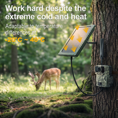 Painel solar Dc Metal 4.0 1.7mm com sensor de imagem CMOS colorido HD de 5MP, projetado para otimizar sistemas de energia renovável e maximizar a produção