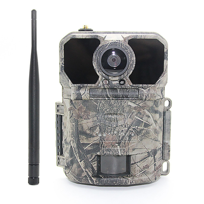 Sensores IP65 impermeável de 30MP Deer Trail Camera Megapixel com cartão de SDHC
