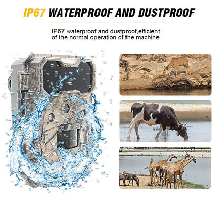 Câmera de vida selvagem ativada por movimento